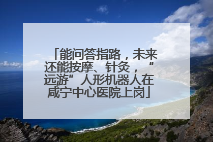 能问答指路，未来还能按摩、针灸，“远游”人形机器人在咸宁中心医院上岗