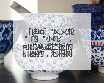 脚踩“风火轮”的“小吒”，可脱离遥控板的机器狗，泡桐树小学来了新朋友！