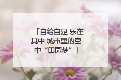 自给自足 乐在其中 城市里的空中“田园梦”