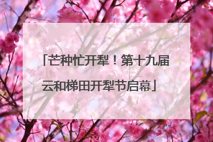 芒种忙开犁！第十九届云和梯田开犁节启幕