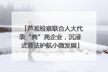 芦淞检察联合人大代表“典”亮企业,沉浸式普法护航小微发展