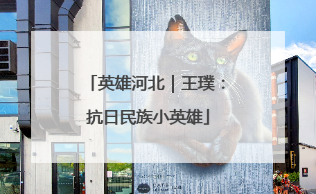 英雄河北｜王璞：抗日民族小英雄