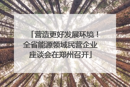 营造更好发展环境！全省能源领域民营企业座谈会在郑州召开
