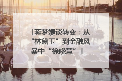 蒋梦婕谈转变：从“林黛玉”到金融风暴中“徐晓慧”