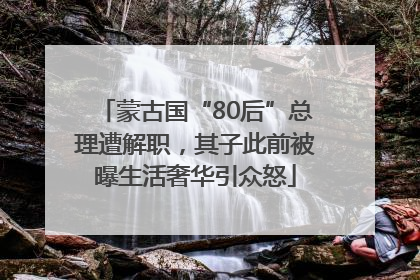 蒙古国“80后”总理遭解职，其子此前被曝生活奢华引众怒