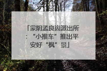 蒙阴孟良崮派出所：“小推车”推出平安好“枫”景
