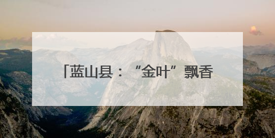 蓝山县：“金叶”飘香季 烟农赶“烤”忙