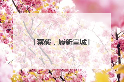 蔡毅，履新宣城