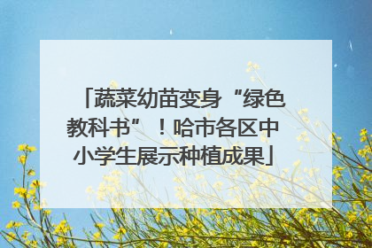 蔬菜幼苗变身“绿色教科书”！哈市各区中小学生展示种植成果