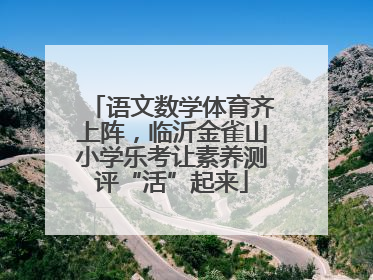 语文数学体育齐上阵，临沂金雀山小学乐考让素养测评“活”起来