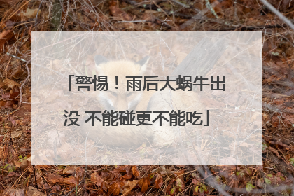 警惕！雨后大蜗牛出没 不能碰更不能吃