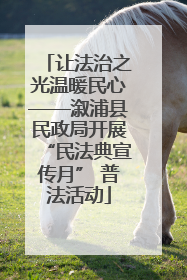 让法治之光温暖民心——溆浦县民政局开展“民法典宣传月” 普法活动