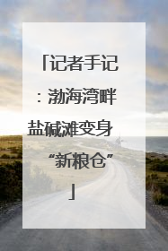 记者手记：渤海湾畔盐碱滩变身“新粮仓”
