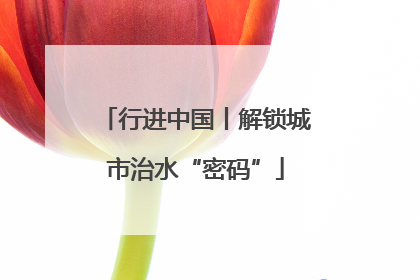 行进中国丨解锁城市治水“密码”