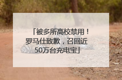 被多所高校禁用！罗马仕致歉，召回近50万台充电宝