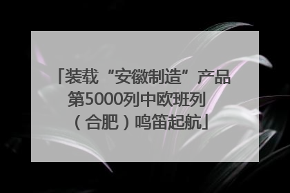 装载“安徽制造”产品 第5000列中欧班列（合肥）鸣笛起航