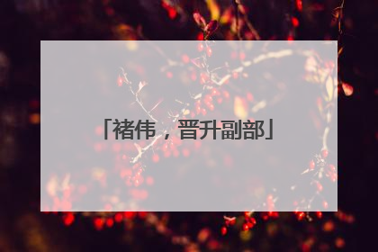 褚伟，晋升副部