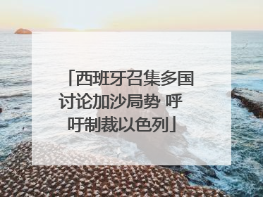 西班牙召集多国讨论加沙局势 呼吁制裁以色列