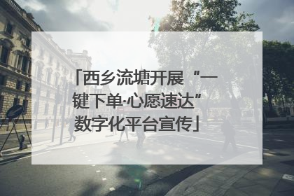 西乡流塘开展“一键下单·心愿速达”数字化平台宣传