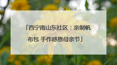 西宁南山东社区：亲制帆布包 手作感恩母亲节