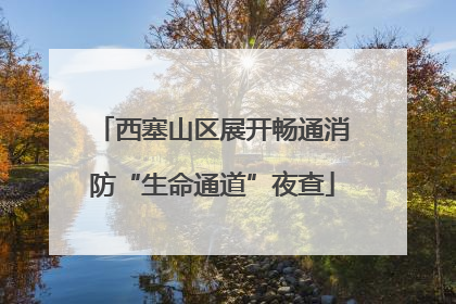 西塞山区展开畅通消防“生命通道”夜查