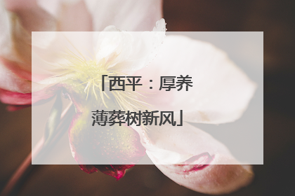 西平：厚养薄葬树新风
