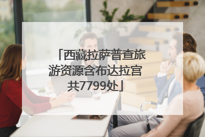 西藏拉萨普查旅游资源含布达拉宫共7799处