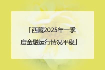 西藏2025年一季度金融运行情况平稳