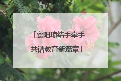 襄阳琼结手牵手 共谱教育新篇章