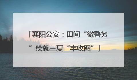 襄阳公安：田间“微警务”绘就三夏“丰收图”