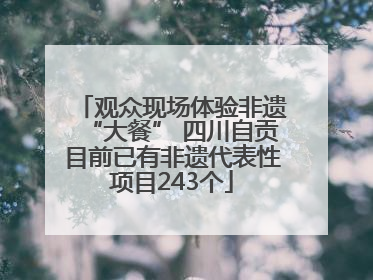 观众现场体验非遗“大餐” 四川自贡目前已有非遗代表性项目243个