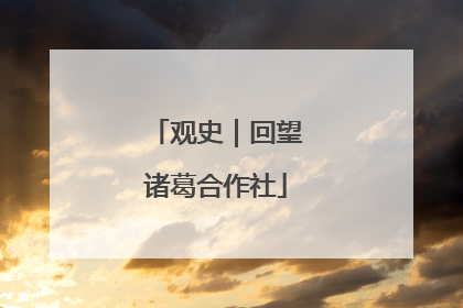 观史｜回望诸葛合作社