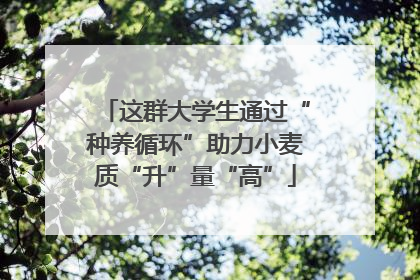 这群大学生通过“种养循环”助力小麦质“升”量“高”