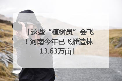 这些“植树员”会飞！河南今年已飞播造林13.63万亩