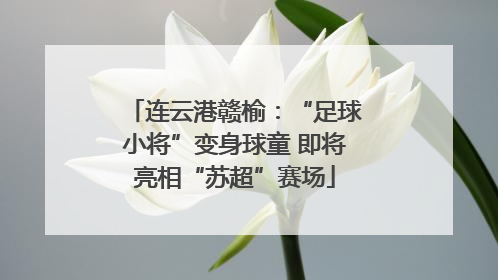 连云港赣榆：“足球小将”变身球童 即将亮相“苏超”赛场