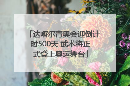 达喀尔青奥会迎倒计时500天 武术将正式登上奥运舞台