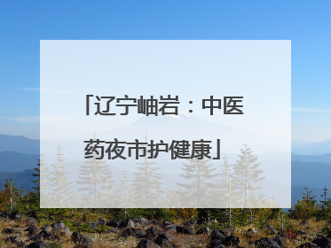 辽宁岫岩：中医药夜市护健康
