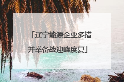 辽宁能源企业多措并举备战迎峰度夏