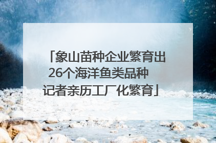 象山苗种企业繁育出26个海洋鱼类品种 记者亲历工厂化繁育