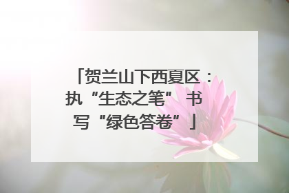 贺兰山下西夏区：执“生态之笔” 书写“绿色答卷”