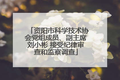 资阳市科学技术协会党组成员、副主席刘小彬 接受纪律审查和监察调查