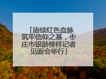 赓续红色血脉 筑牢信仰之基，枣庄市银龄榜样记者见面会举行