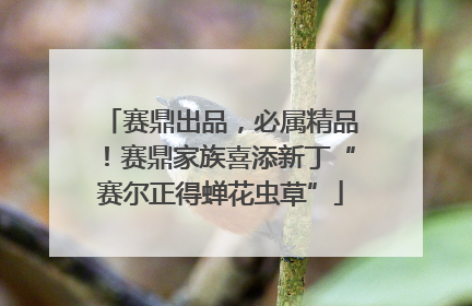 赛鼎出品，必属精品！赛鼎家族喜添新丁“赛尔正得蝉花虫草”