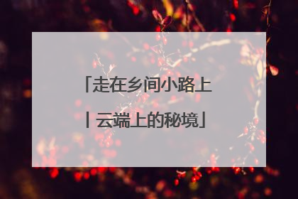 走在乡间小路上丨云端上的秘境