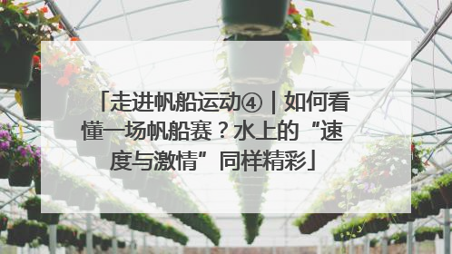 走进帆船运动④｜如何看懂一场帆船赛？水上的“速度与激情”同样精彩