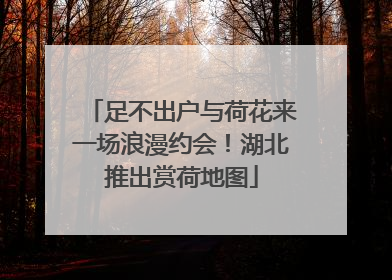 足不出户与荷花来一场浪漫约会！湖北推出赏荷地图