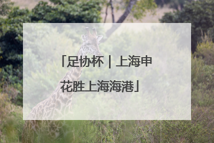 足协杯｜上海申花胜上海海港