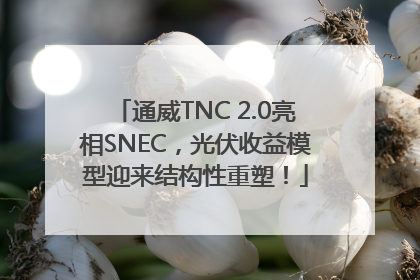 通威TNC 2.0亮相SNEC，光伏收益模型迎来结构性重塑！