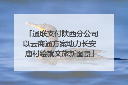 通联支付陕西分公司以云商通方案助力长安唐村绘就文旅新图景
