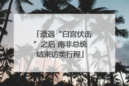 遭遇“白宫伏击”之后 南非总统结束访美行程